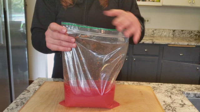 Biodegradable Ziplock Gallon Bags [9 x 12”, 100 Count] – A Little